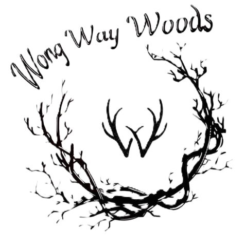 Wong Way Woods DGC Logo