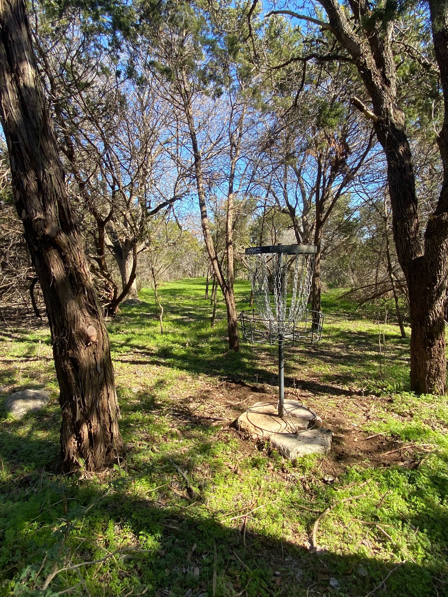 Disc golf basket surrounded by trees showing wooded challenges